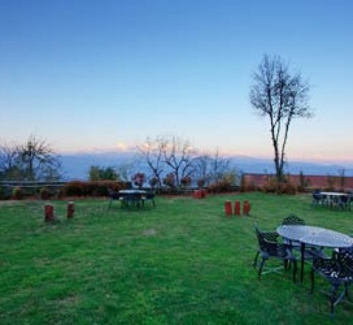 Lawn Lawn