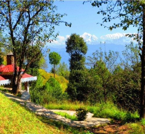 Nature view Nature view