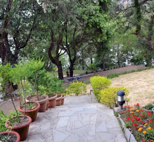 Lawn Lawn