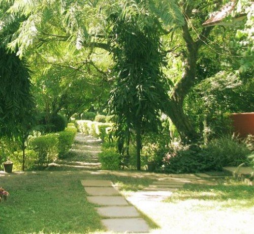 Lawn