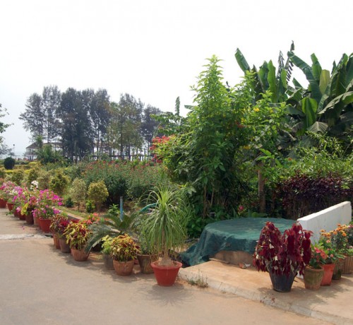 Garden Area
