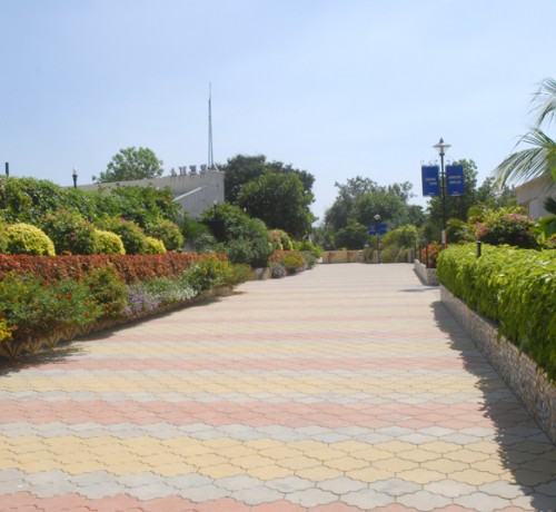 Garden Area Garden Area