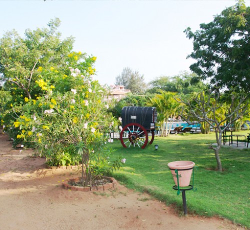 Lawn Area