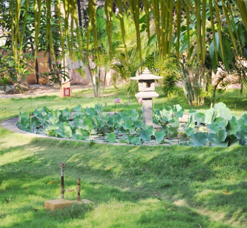 Garden Area