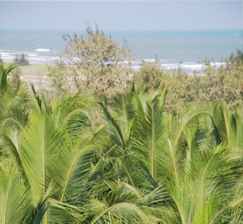 Beach View