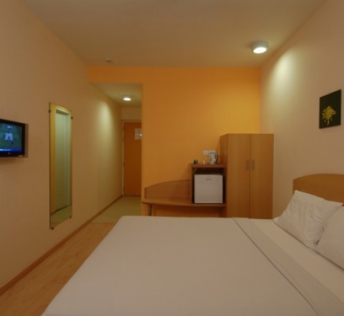 Comfortable Room
