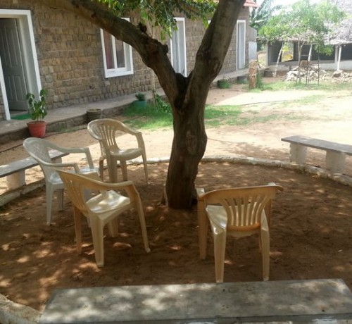 Exterior View of the Resort