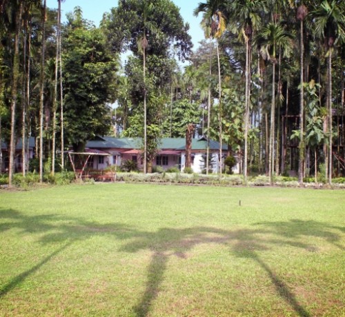 Lawn Area