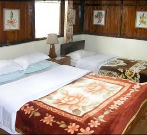 Wood Cot Room Wood Cot Room
