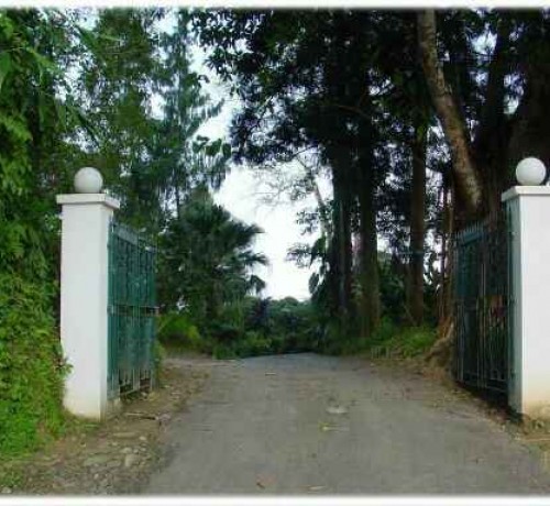 Front Gate Front Gate
