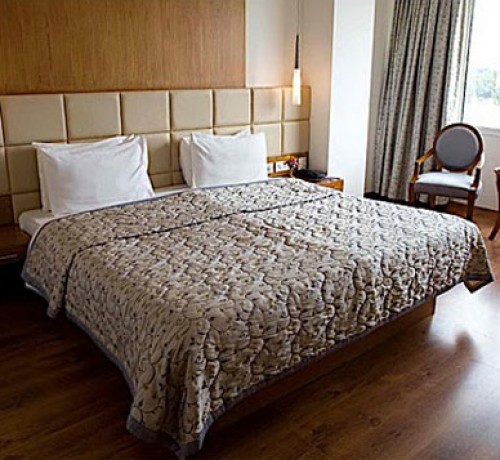 Suite Room Suite Room