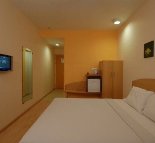 Comfortable Room Comfortable Room