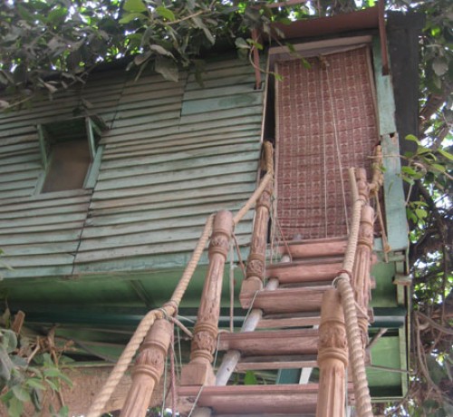To The Tree Mansion