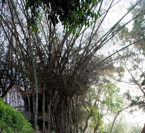 Trekking Trekking