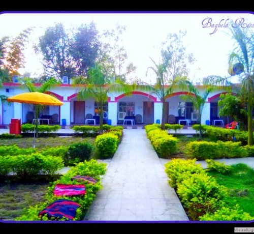 Garden Area