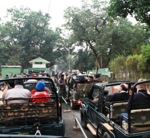 Jeep Safari