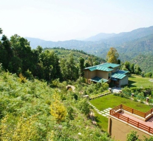 Amidst Lush Greenery Amidst Lush Greenery