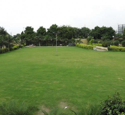Garden Area