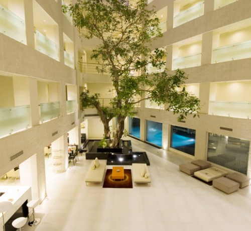 Courtyard from Top Courtyard from Top