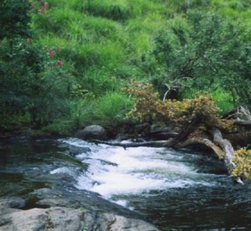 Gavi Waterfalls