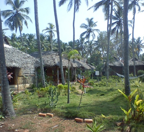 Cottage surrounding the garedens