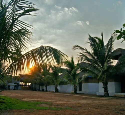Cottage View at Night