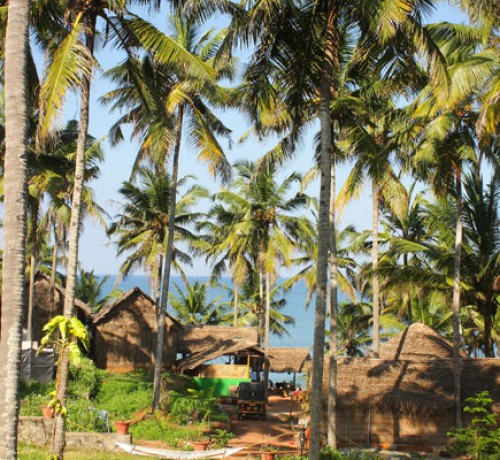 Resort view Resort view