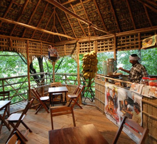 Coffee Shop