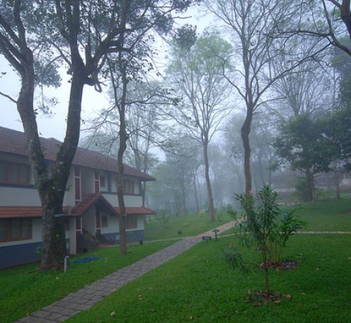Green Woods
