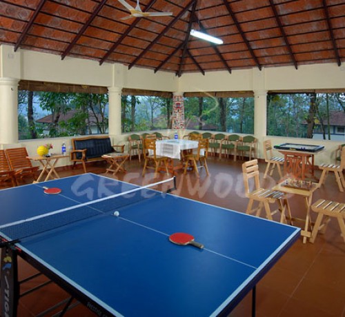 Play Area