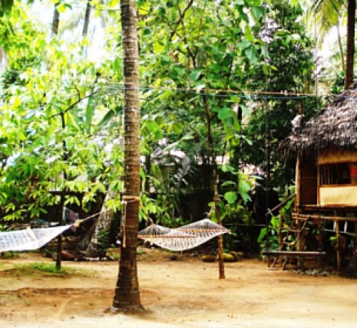 Shiva treehouse Shiva treehouse