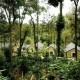 Windflower Resort