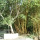 Cauvery Sannidhi for Indian Culture Cauvery Sannidhi for Indian Culture