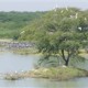 Bishnoi Village Camp and Resort Bishnoi Village Camp and Resort