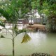 Amblee Resort Amblee Resort