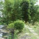 Cauvery Sannidhi for Indian Culture Cauvery Sannidhi for Indian Culture