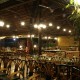 Hotel Panchshill Hotel Panchshill