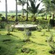 Cauvery Sannidhi for Indian Culture Cauvery Sannidhi for Indian Culture