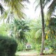 Cauvery Sannidhi for Indian Culture Cauvery Sannidhi for Indian Culture