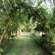 Cauvery Sannidhi for Indian Culture Cauvery Sannidhi for Indian Culture