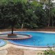 Pool Pool