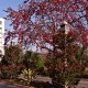 Hotel Hotel