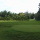 Golf-course Golf-course