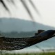 Hammock Hammock