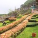 Lush green lawns Lush green lawns