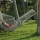 Hammock