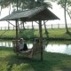 Tourists in Kumarakom Lagoon