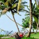 Hammock