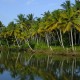 Backwaters