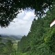 Scenic view Scenic view
